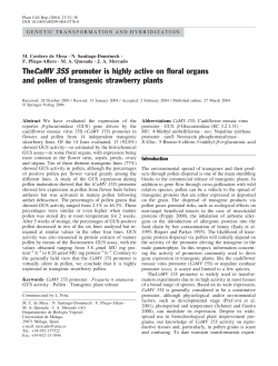 TheCaMV 35S promoter is highly active on floral organs and