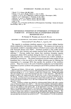 suppression of protein synthesis with puromycin and of RNA