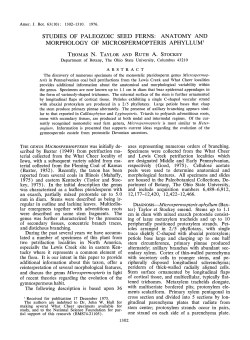 Studies of Paleozoic Seed Ferns: Anatomy and Morphology of