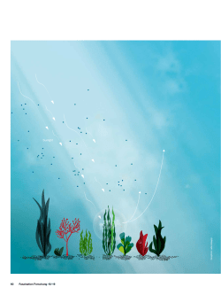 Millions at my Beck and Call!