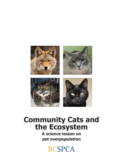 Community Cats and the Ecosystem