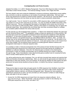 Investigating Bear and Panda Ancestry Activity