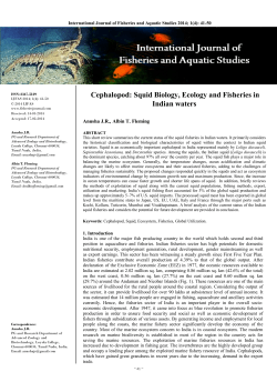 Cephalopod: Squid Biology, Ecology and Fisheries in Indian waters