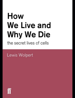 how proteins determine the work of cells