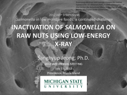 2 Jeong Presentation- Salmonella