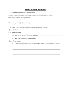 Photosynthesis Webquest