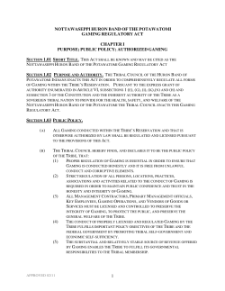 Gaming Regulatory Act of 2010 - Nottawaseppi Huron Band of the