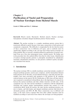 Purification of Nuclei and Preparation of Nuclear Envelopes from