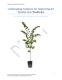 Landscaping Guidance for Improving Air Quality near Roadways