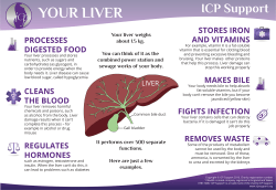REGULATES HORMONES FIGHTS INFECTION STORES IRON