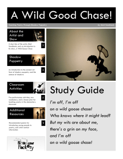 A Wild Good Chase! - Matt Sandbank`s Shadow Factory