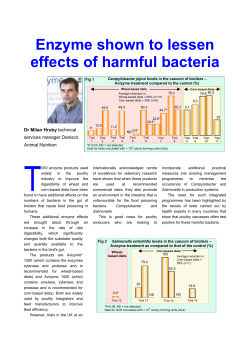 Enzyme shown to lessen effects of harmful bacteria