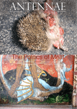 The Politics of Meat