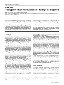 Charting gene regulatory networks: strategies