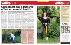 Gardening has a positive effect on mental health