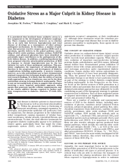 Oxidative Stress as a Major Culprit in Kidney Disease in Diabetes