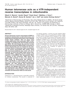 Human telomerase acts as a hTR-independent