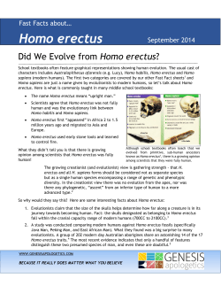Homo erectus - Genesis Apologetics