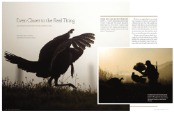 May/June - Even Closer to the Real Thing