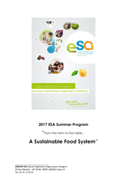 French Summer Program Guide - Auburn University College of