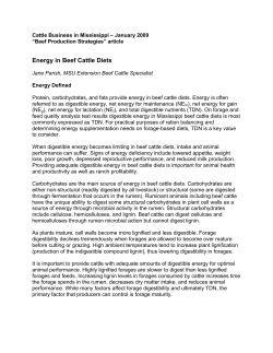 Energy in Beef Cattle Diets - Mississippi State University Extension