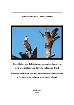 Diversidade e uso do habitat por rapinantes diurnos