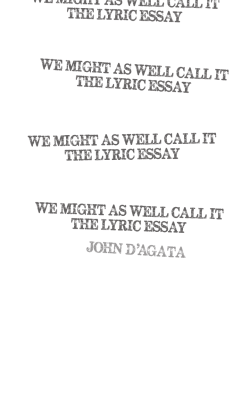 john d`agata we might as well call it the lyric essay we