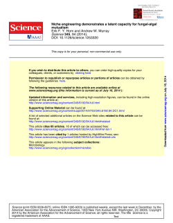 Niche engineering demonstrates a latent capacity for fungal