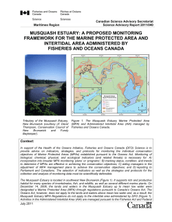 MUSQUASH ESTUARY: A PROPOSED MONITORING