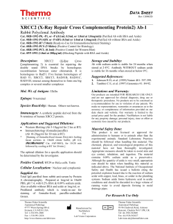 XRCC2 (X-Ray Repair Cross Complementing Protein2) Ab-1