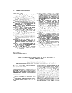 Direct and Indirect Consequences of Mink