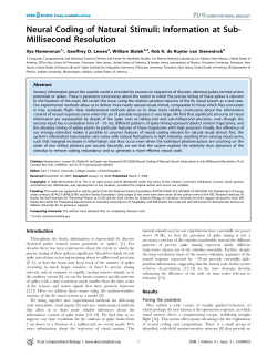 Neural Coding of Natural Stimuli: Information at Sub