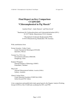 Final Report