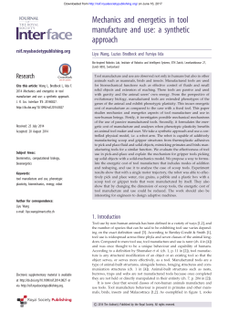 Mechanics and energetics in tool manufacture and use: a synthetic