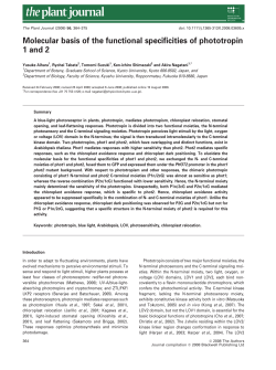 Molecular basis of the functional specificities of phototropin 1 and 2