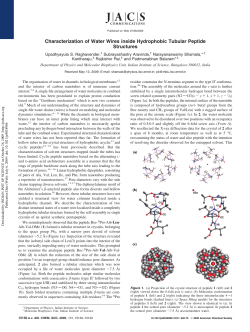 Characterization of Water Wires inside Hydrophobic Tubular Peptide