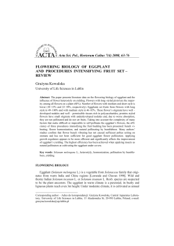 FLOWERING BIOLOGY OF EGGPLANT AND