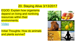 20. Staying Alive 3/13/2017