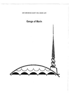 Gang Identification and Prevention