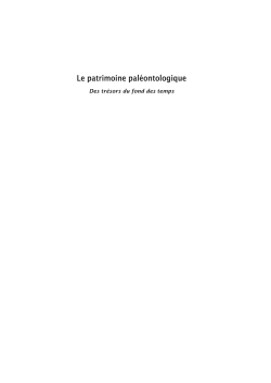 Le patrimoine pal&eacute;ontologique - Lithoth&egrave;que d`Afrique centrale