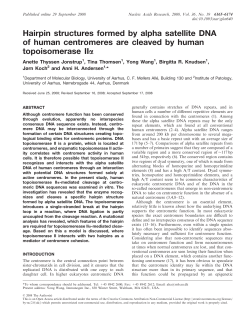 Hairpin structures formed by alpha satellite DNA