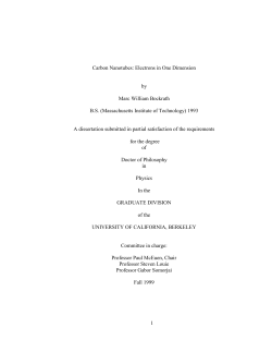 1 Carbon Nanotubes: Electrons in One Dimension by Marc William