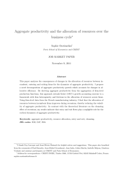 Aggregate productivity and the allocation of resources over the