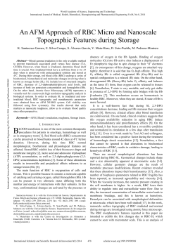 An AFM Approach of RBC Micro and Nanoscale Topographic