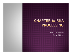 RNA processing