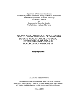Genetic characterization of congenital defects in dogs