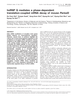 hnRNP Q mediates a phase-dependent translation