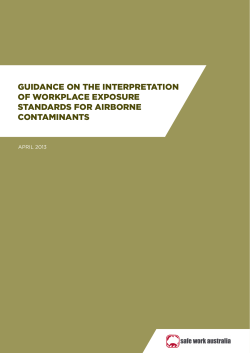 guidance on the interpretation of workplace exposure standards for