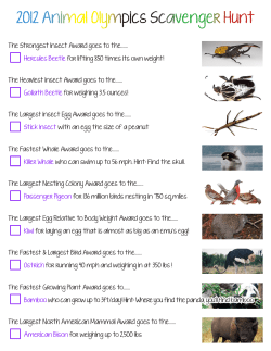 2012 Animal Olympics Scavenger Hunt
