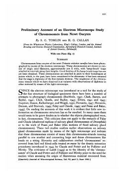 Preliminary Account of an Electron Microscope Study of